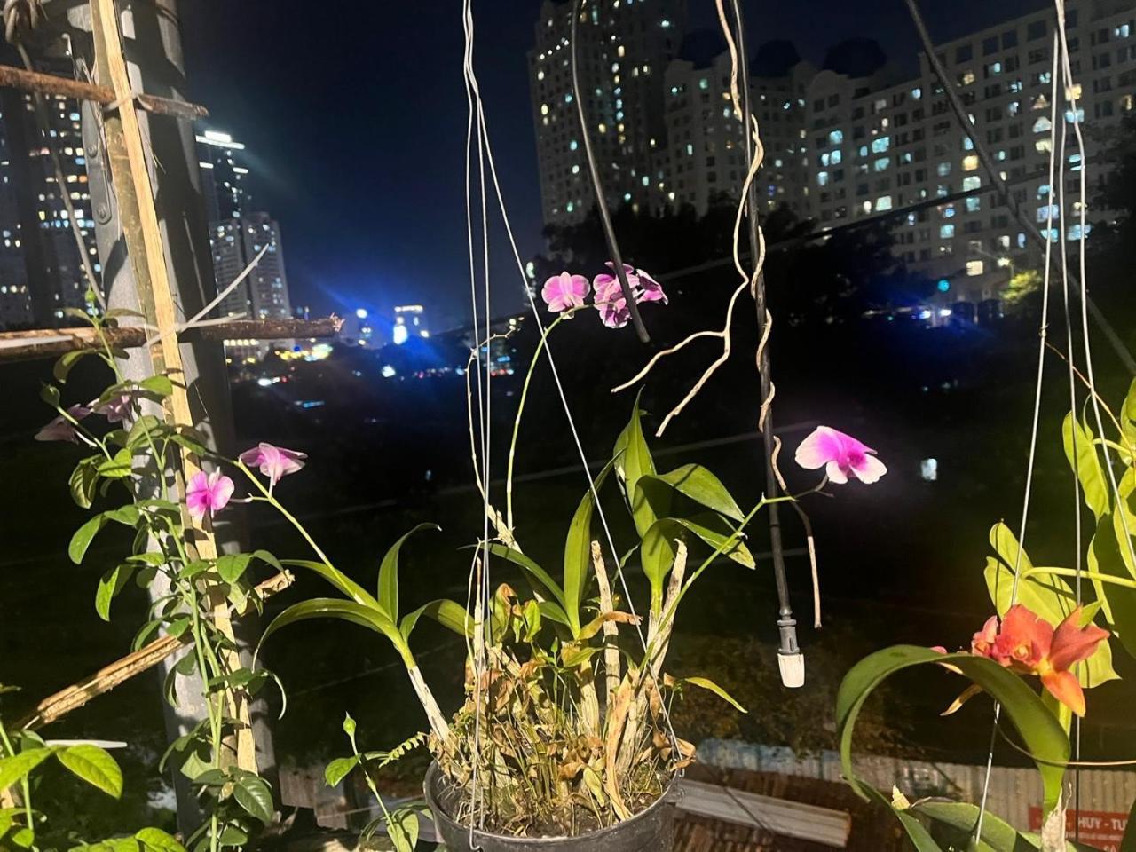 House Binhthanh TP. Hồ Chí Minh